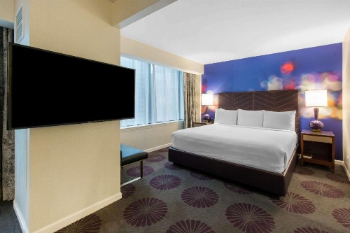 The Chicago Hotel Collection Magnificent Mile image 10