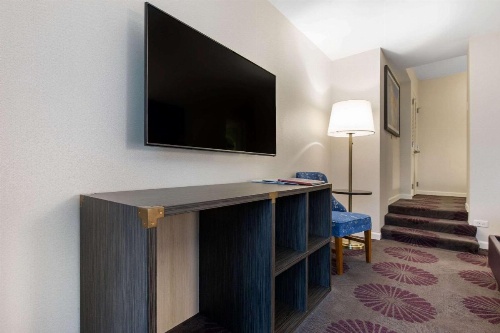 The Chicago Hotel Collection Magnificent Mile image 13