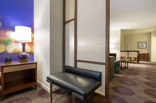 The Chicago Hotel Collection Magnificent Mile image 14