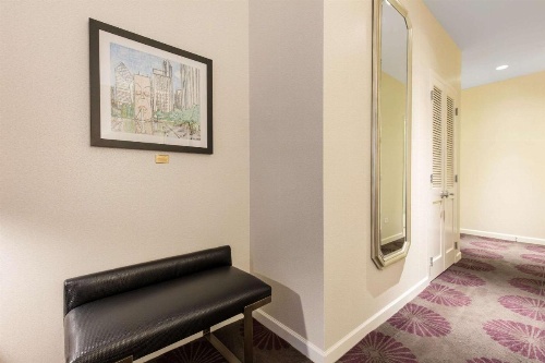 The Chicago Hotel Collection Magnificent Mile image 18