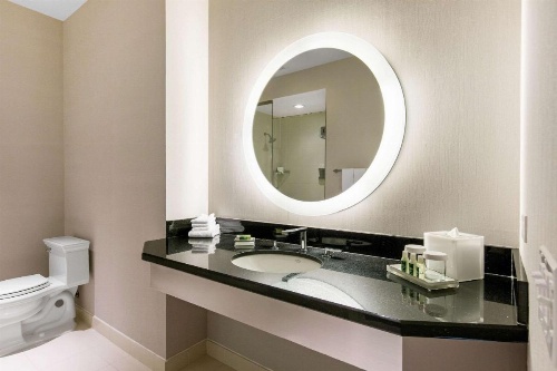 The Chicago Hotel Collection Magnificent Mile image 24